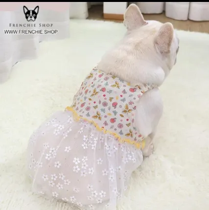 Fruit Skirt Frenchie Summer Dress (W319)