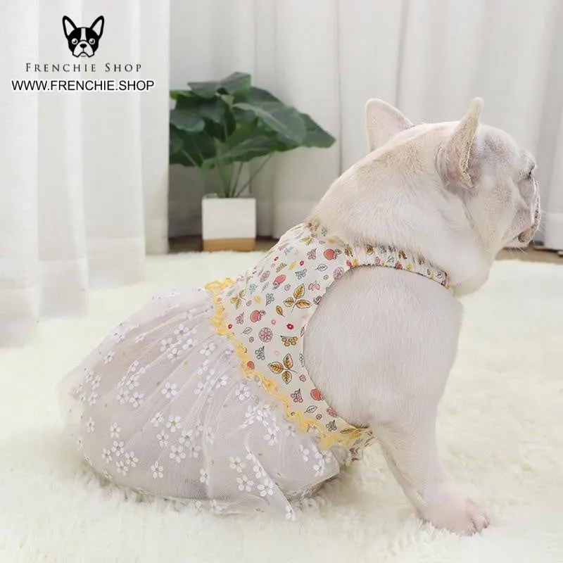 Fruit Skirt Frenchie Summer Dress (W319)
