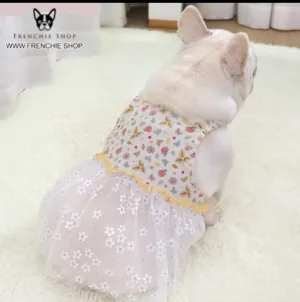 Fruit Skirt Frenchie Summer Dress (W319)