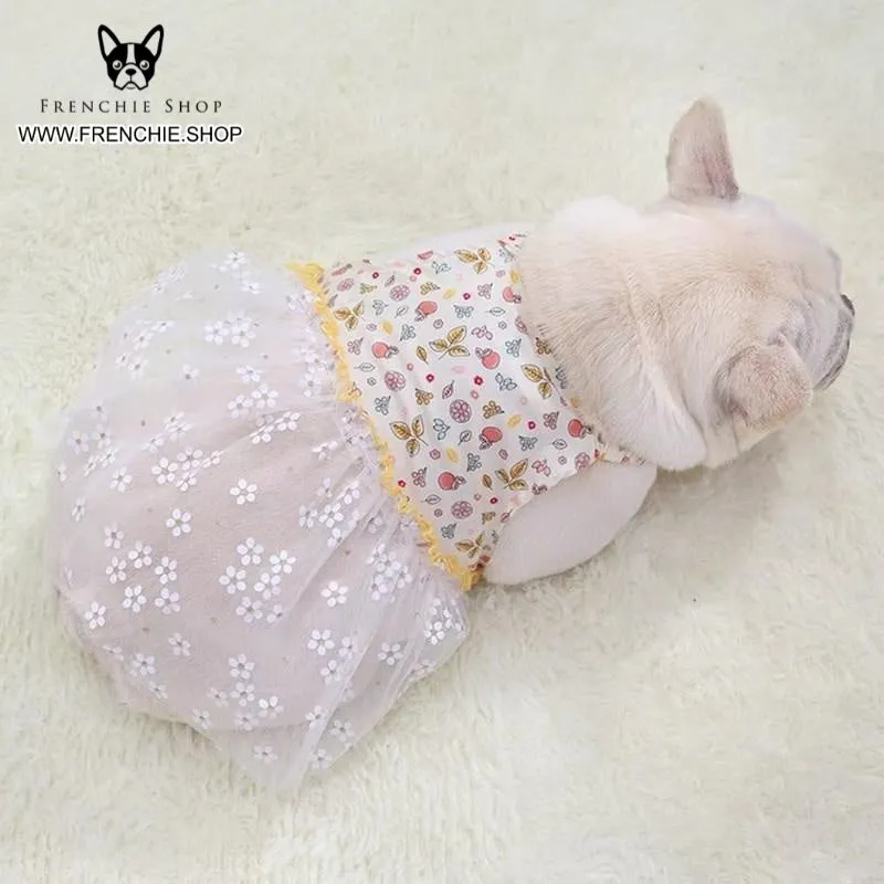 Fruit Skirt Frenchie Summer Dress (W319)