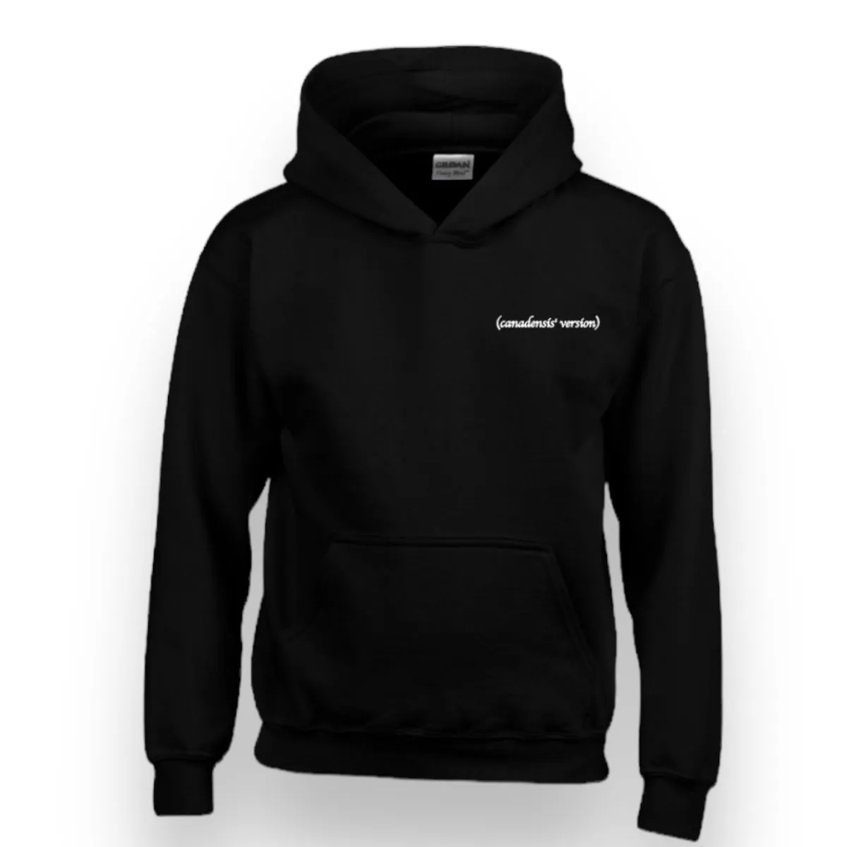 TS Eras Hoodie